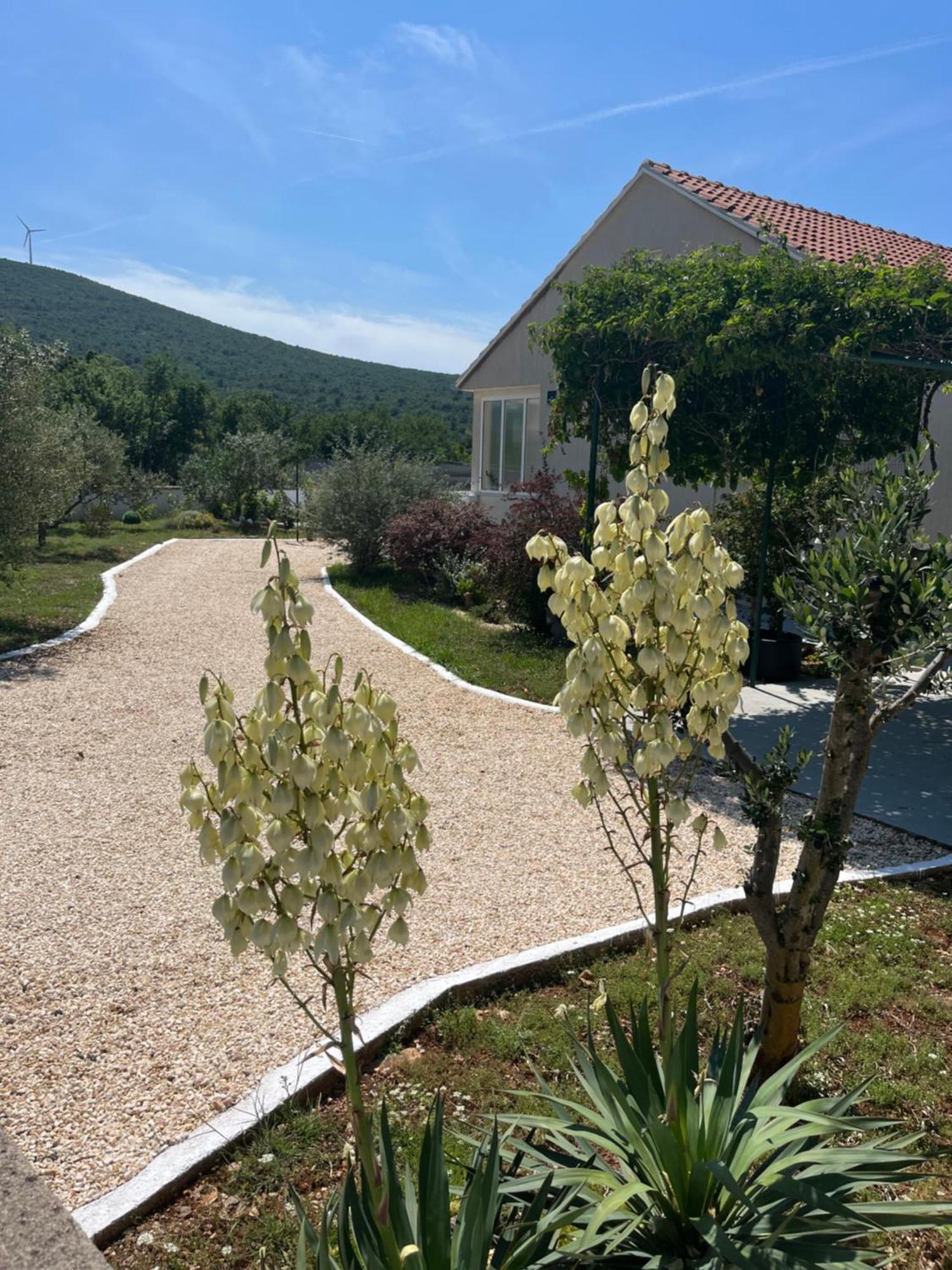 Mediterranean Olive Waterfallskrka-Croatia Villa Gulin Dış mekan fotoğraf